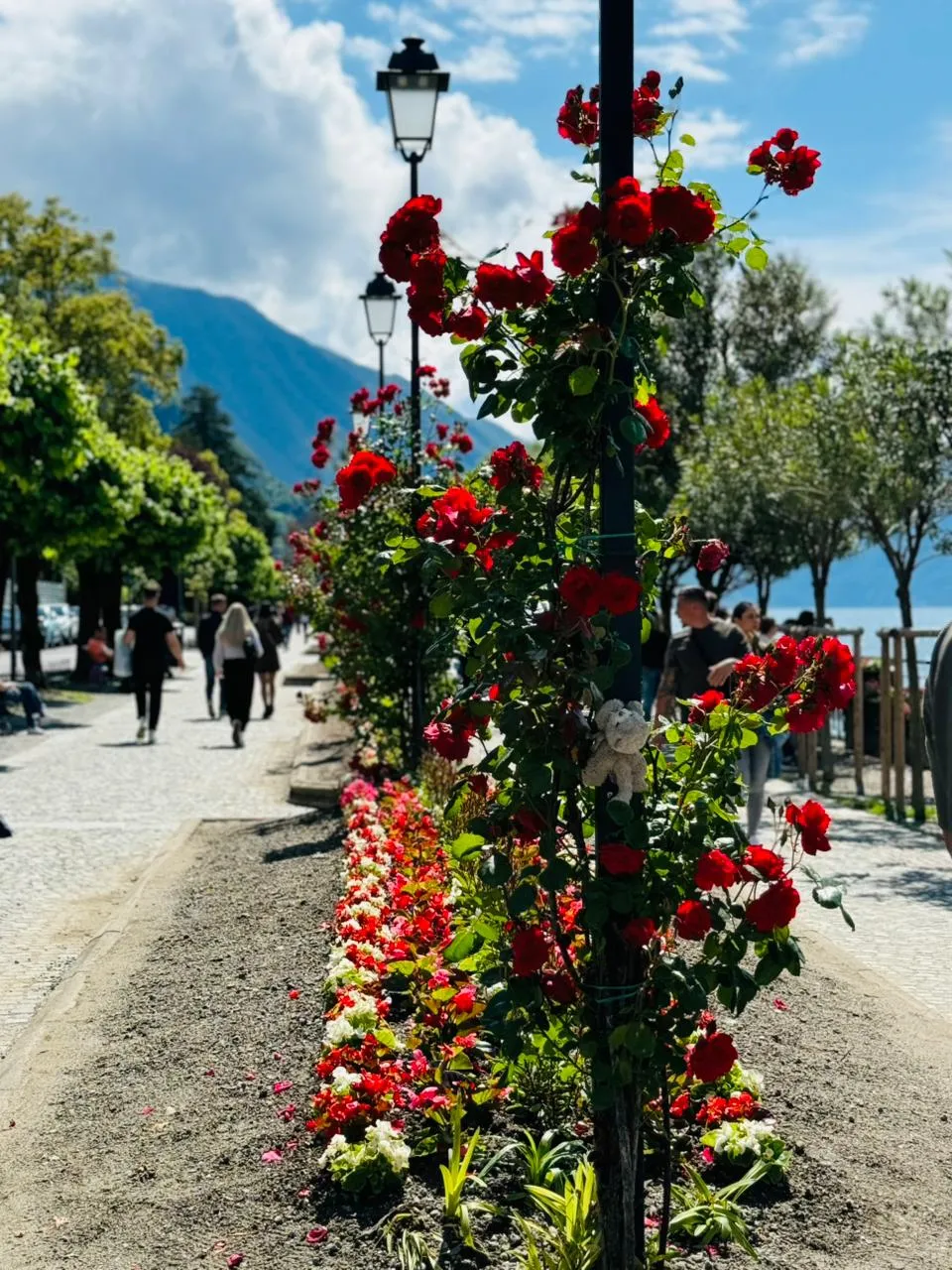 Bellagio photo 13