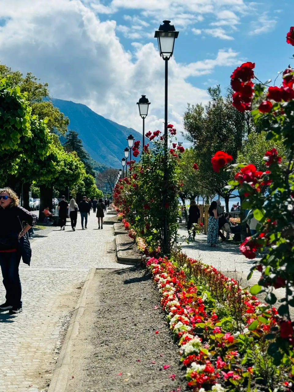 Bellagio photo 14