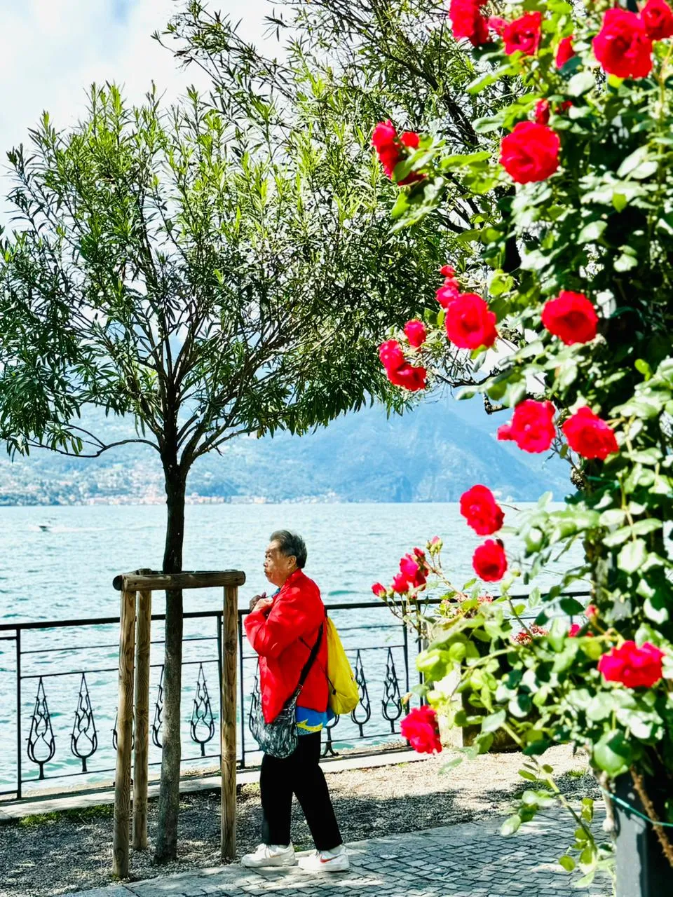 Bellagio photo 4