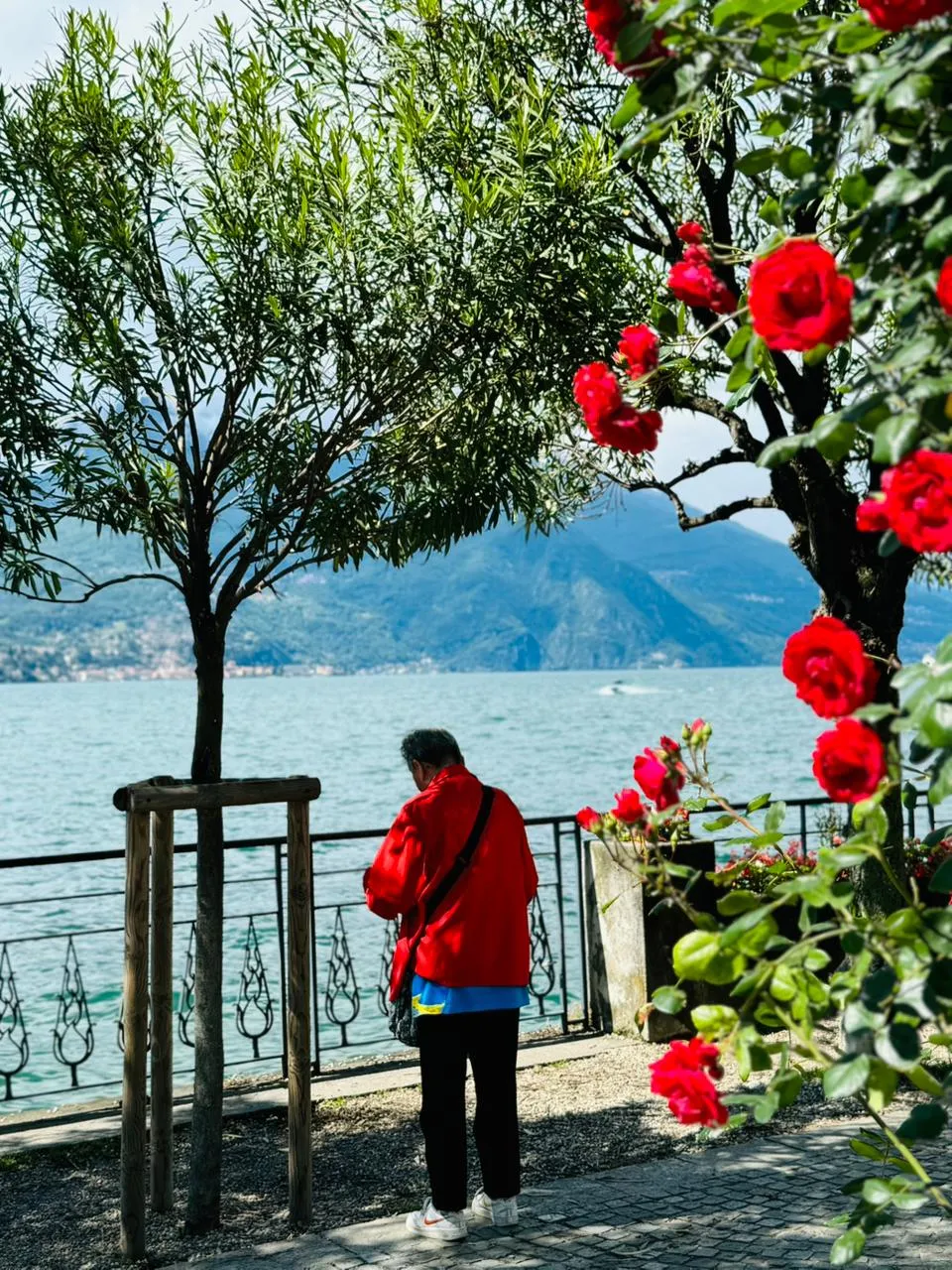 Bellagio photo 6