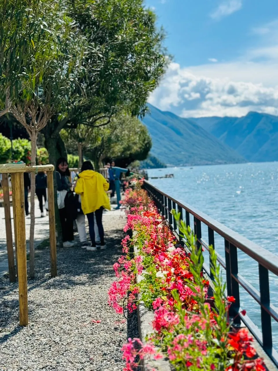 Bellagio photo 7