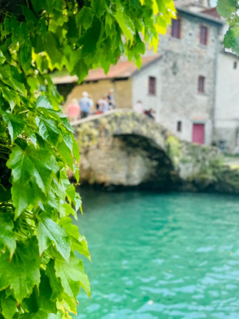 NESSO photo 11
