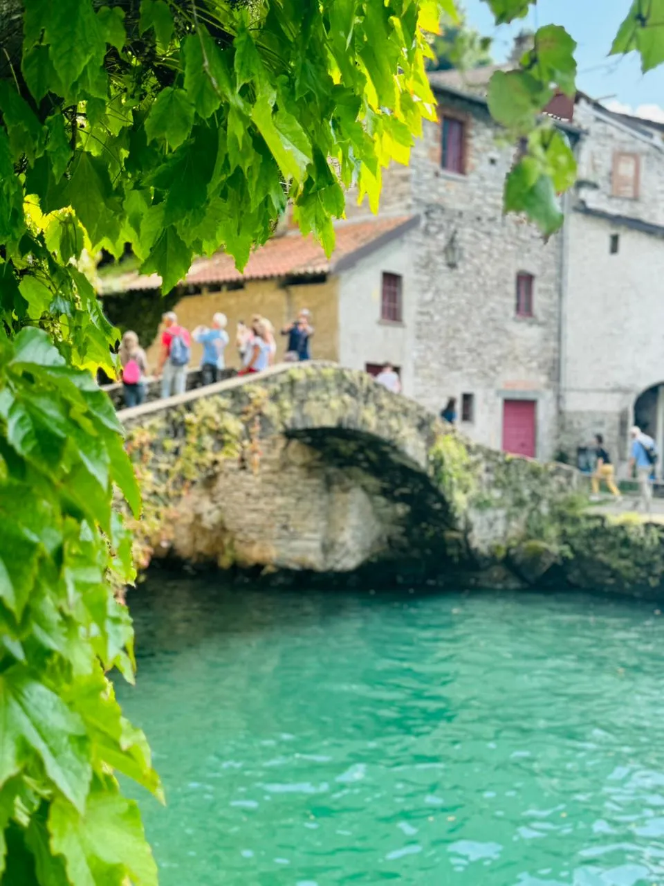 NESSO photo 12