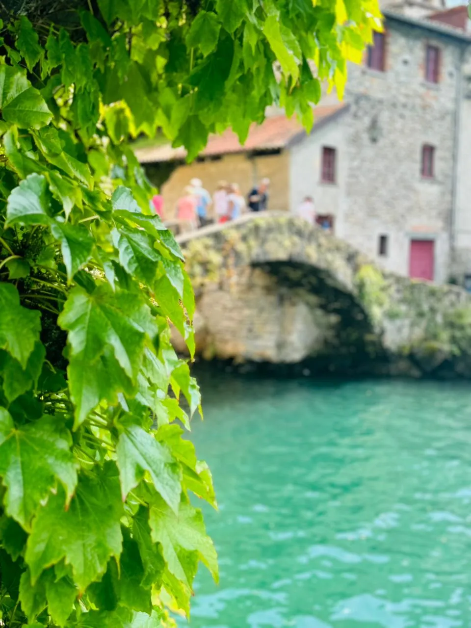 NESSO photo 13