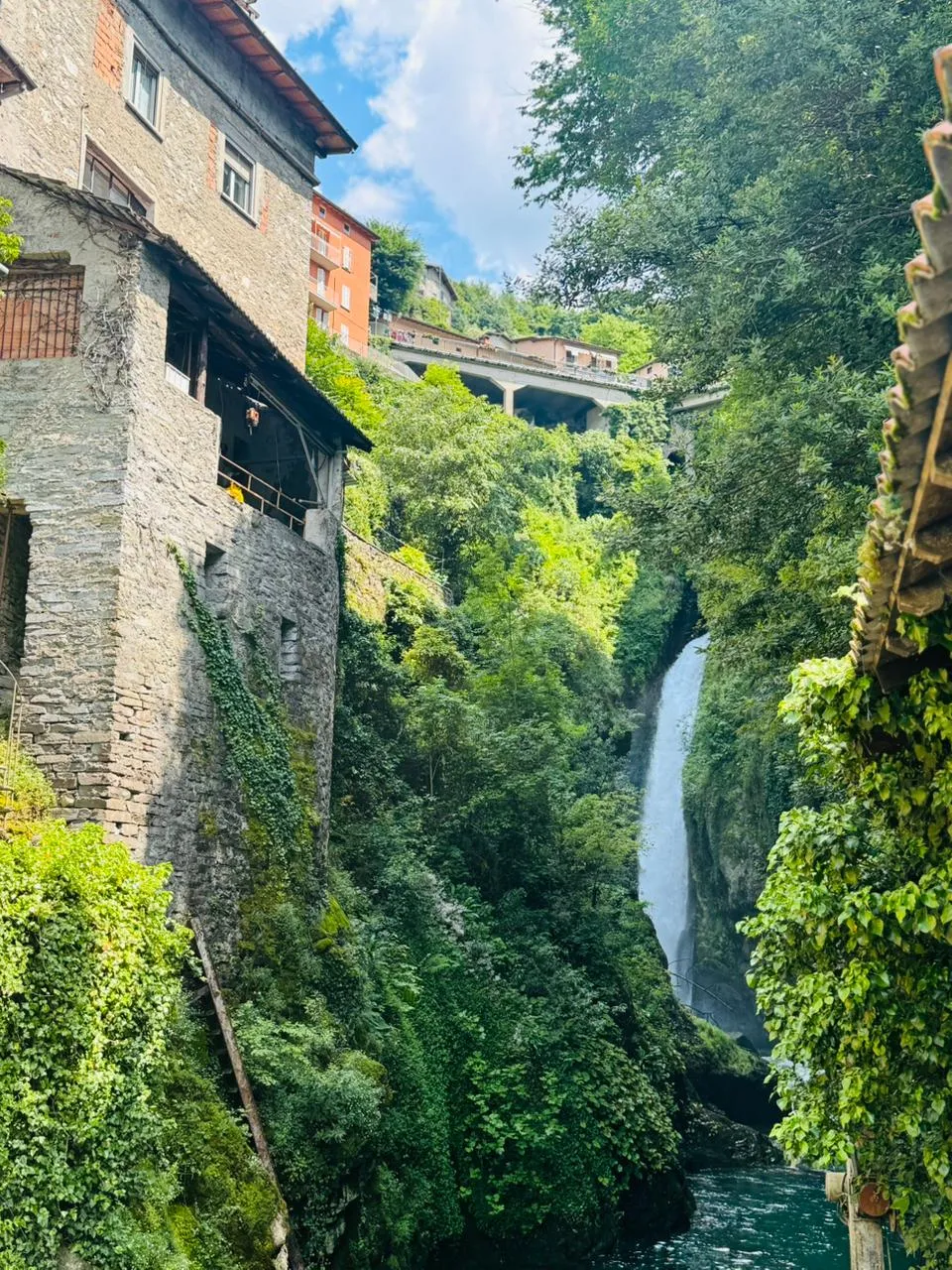NESSO photo 4